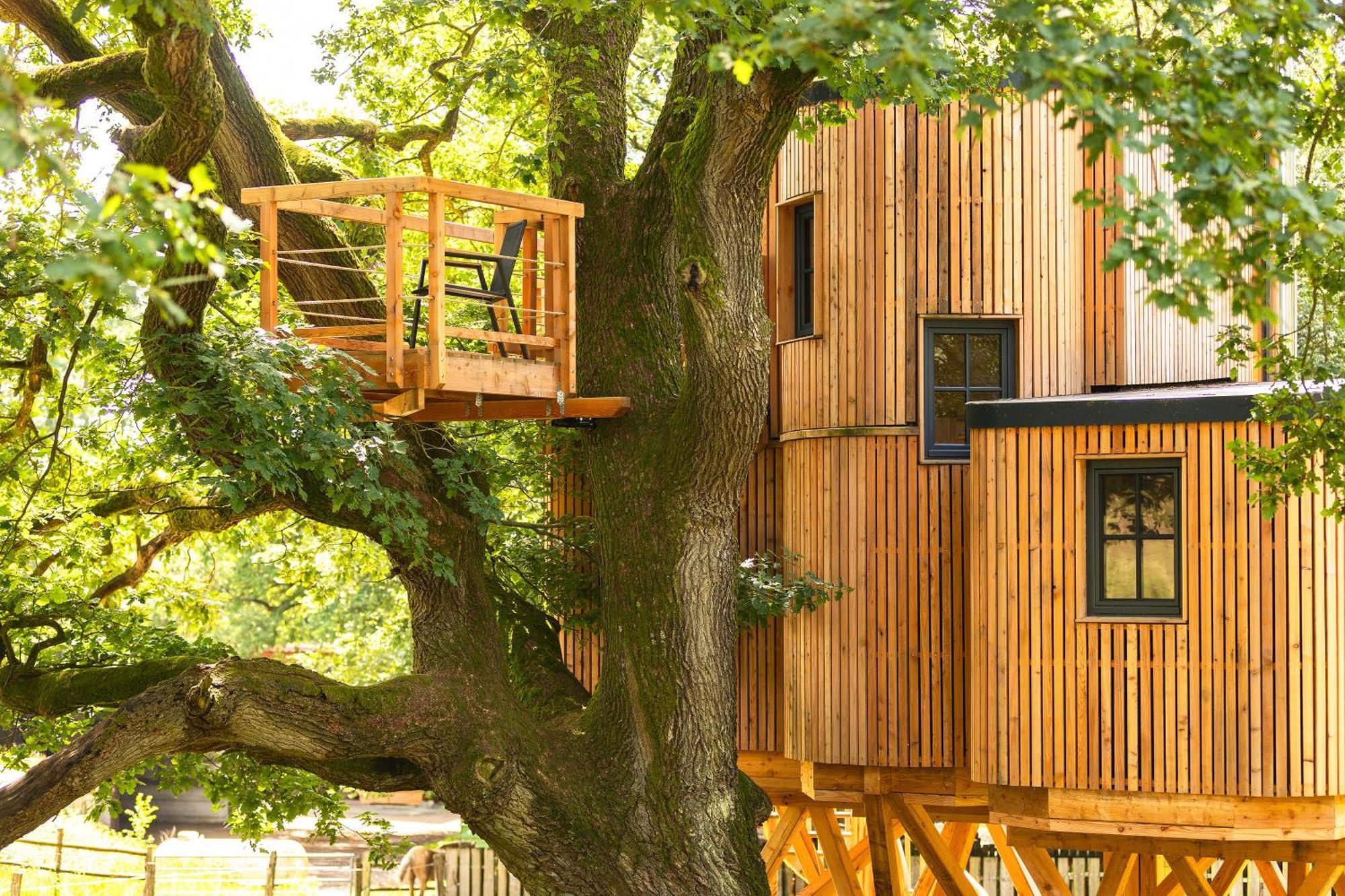 Heide Ferien - Hof Bockelmann Appartement Bispingen Kamer foto