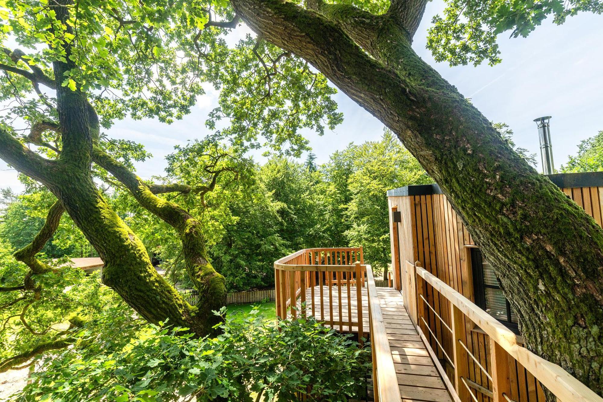 Heide Ferien - Hof Bockelmann Appartement Bispingen Kamer foto