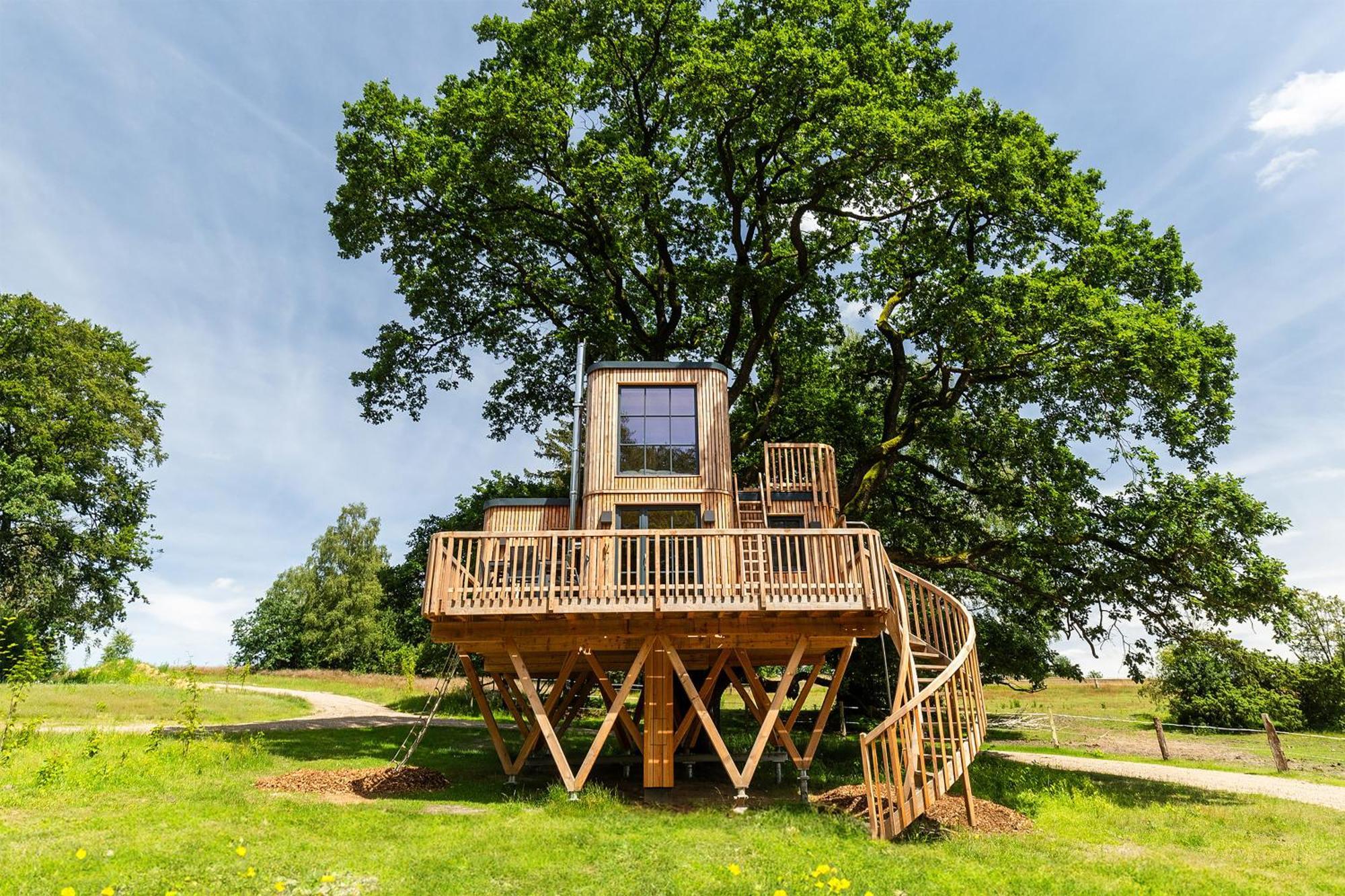 Heide Ferien - Hof Bockelmann Appartement Bispingen Kamer foto