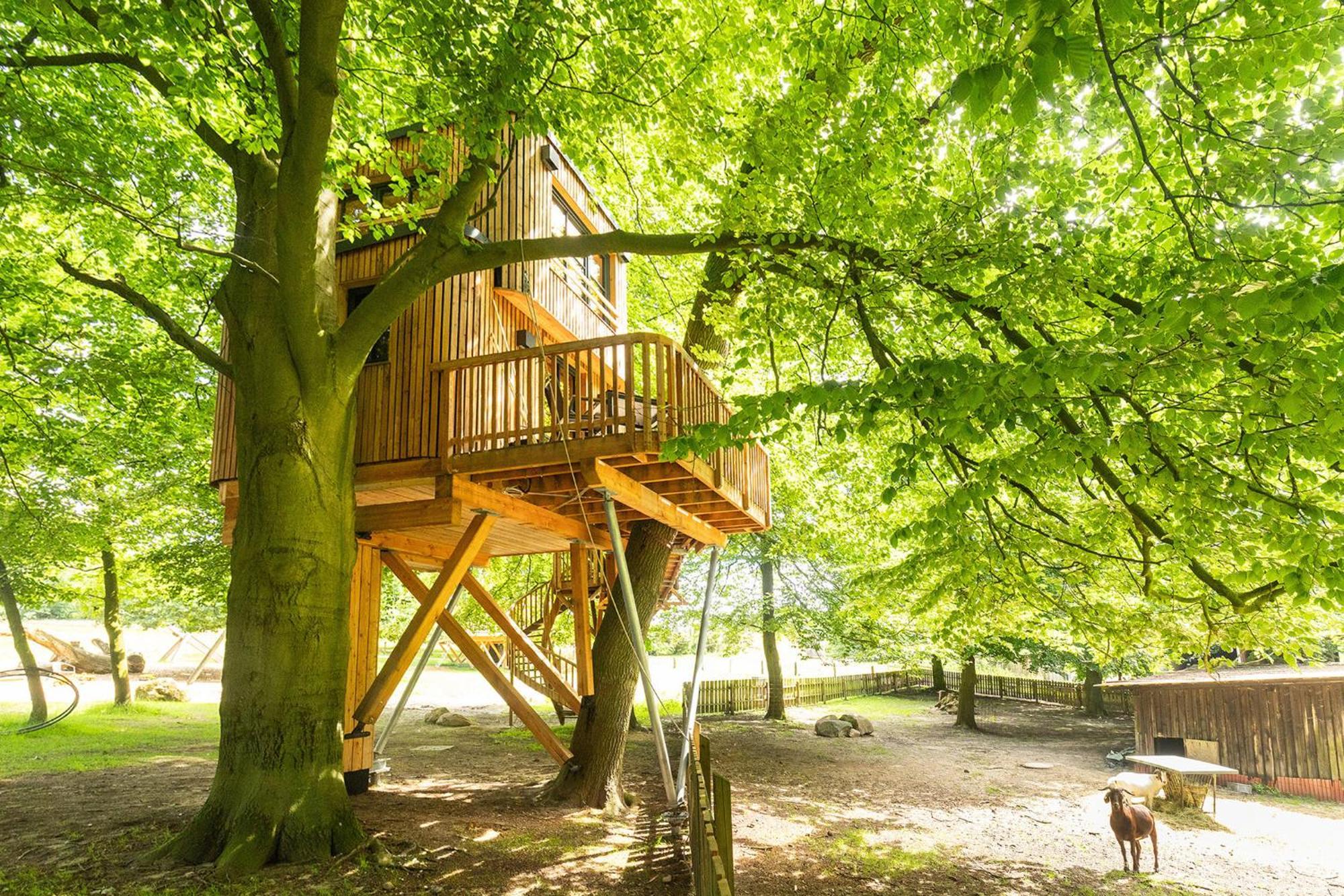 Heide Ferien - Hof Bockelmann Appartement Bispingen Buitenkant foto