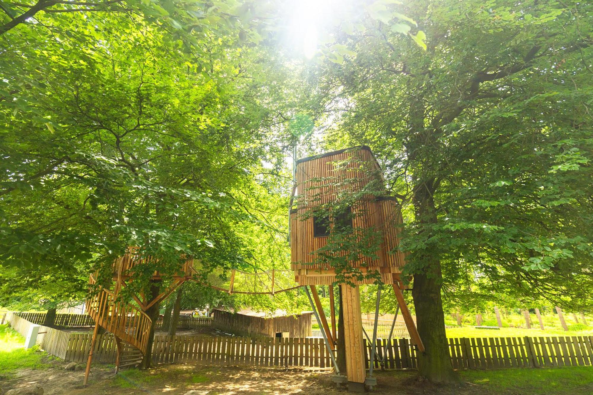 Heide Ferien - Hof Bockelmann Appartement Bispingen Kamer foto